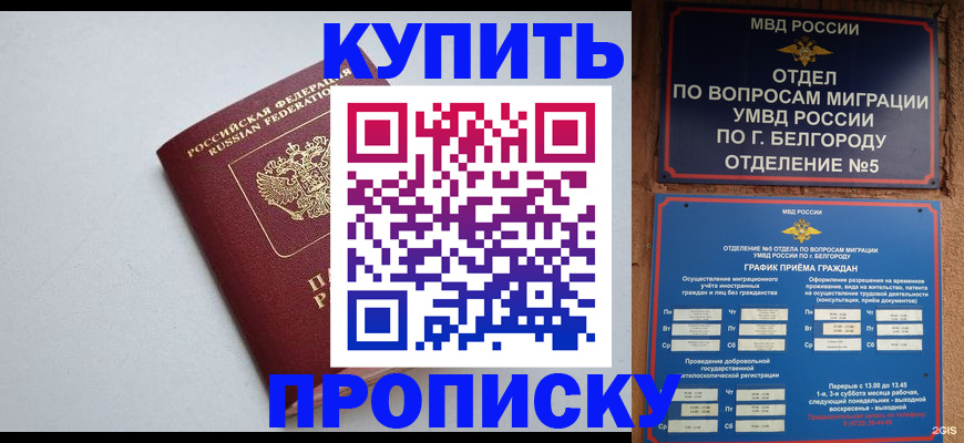 прописка регистрация в Плавске